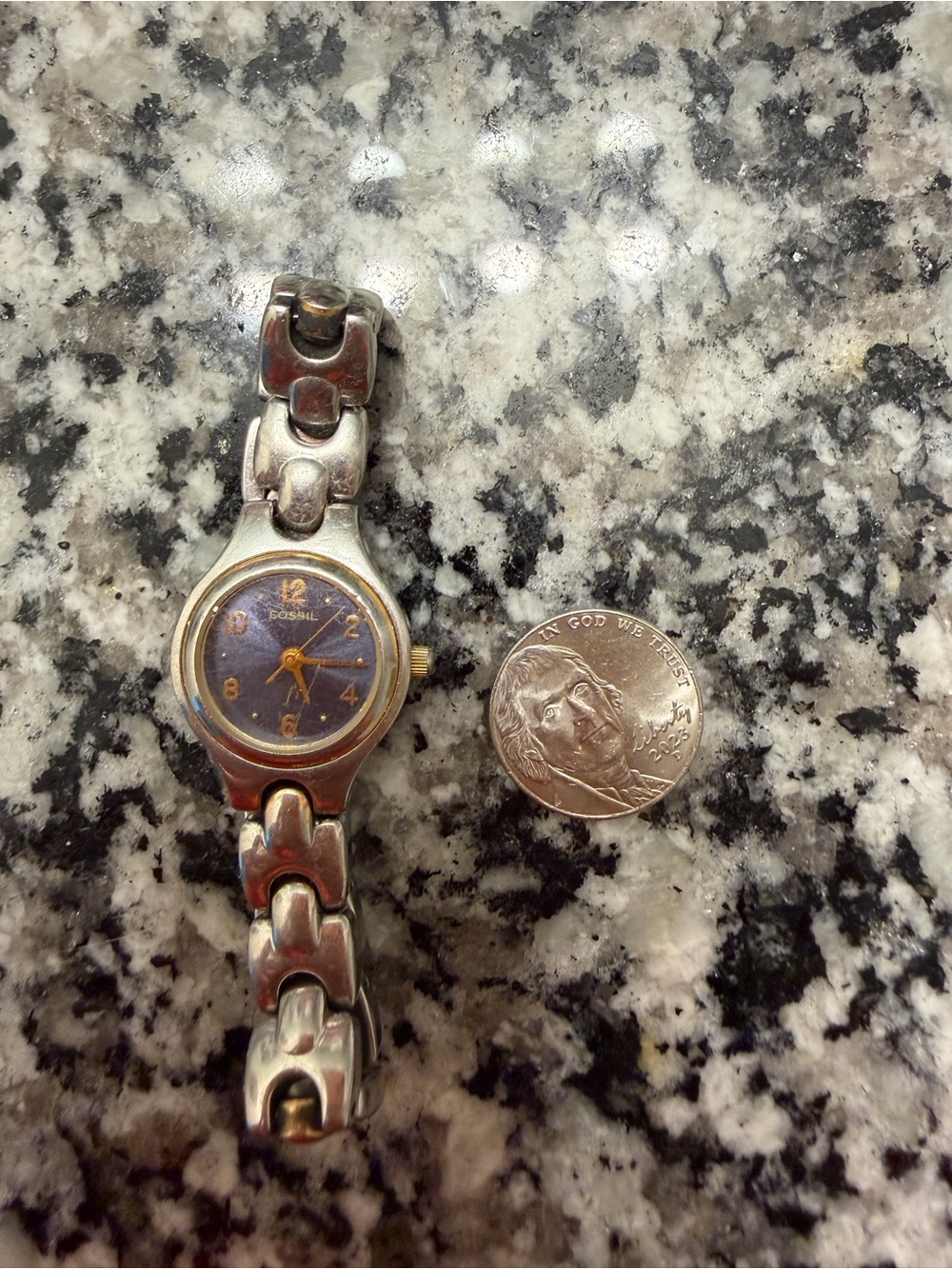 Fossil Two Tone Watch with Blue Dial ES-8949